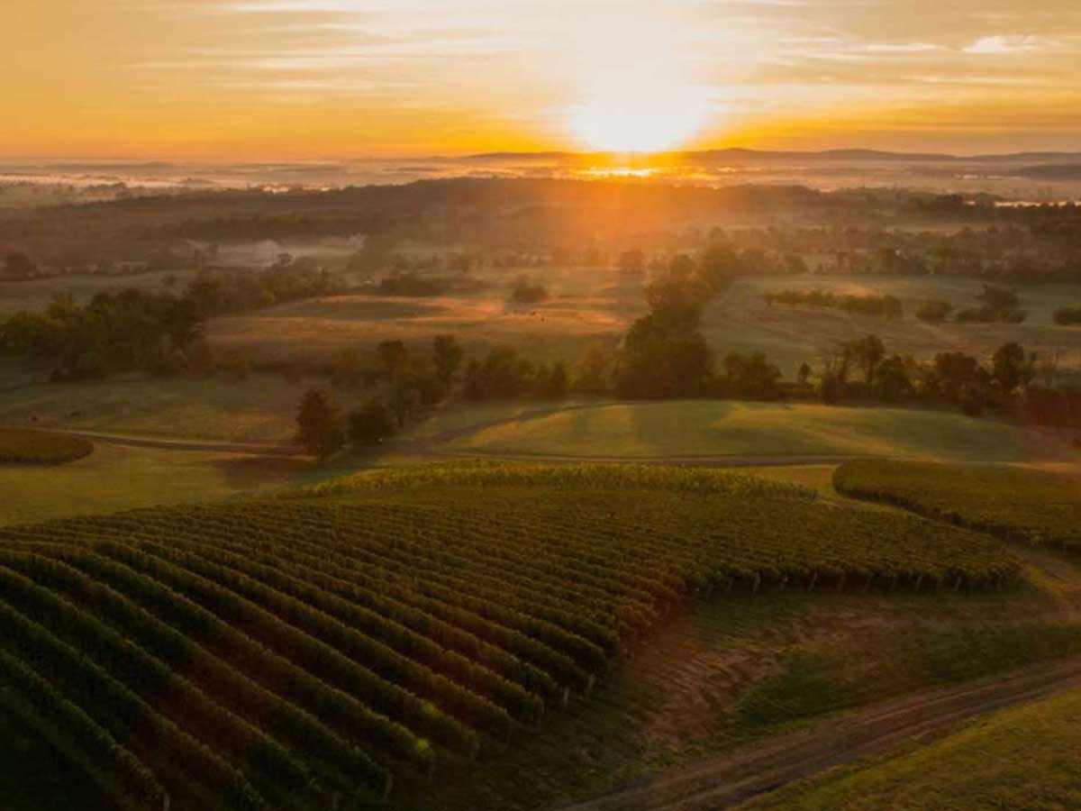 Cover Image for Explore Virginia Wine