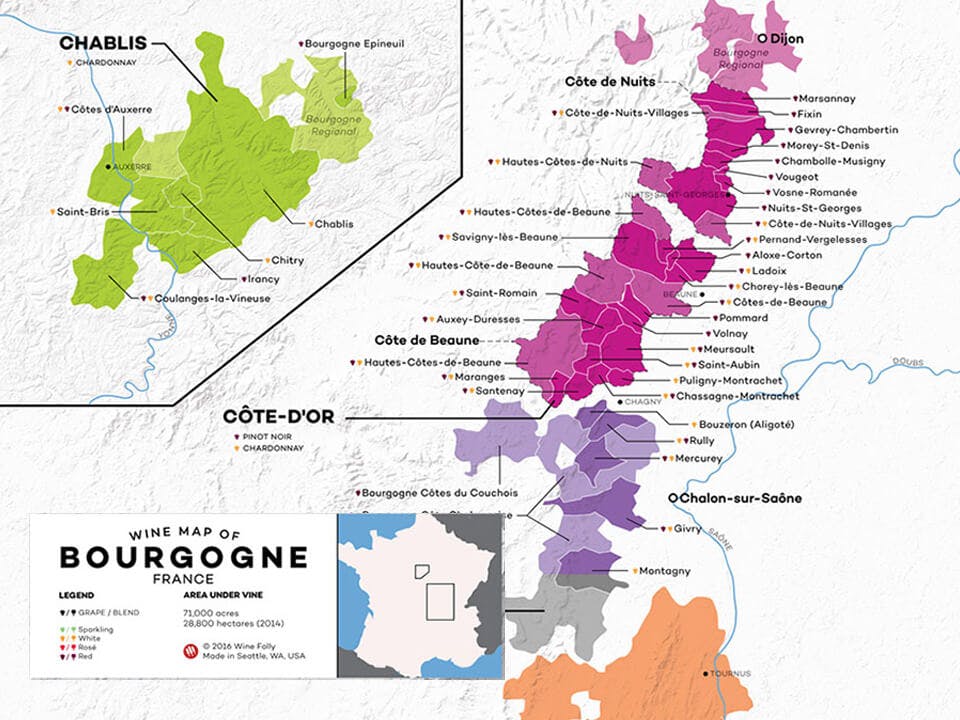 Cover Image for A Simple Guide to Burgundy Wine (With Maps)