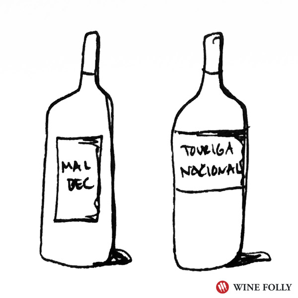 Look to bolder varieties like malbec and Touriga Nacional with Barbecue Chicken Pizza - Illustration Bottle Wine Folly