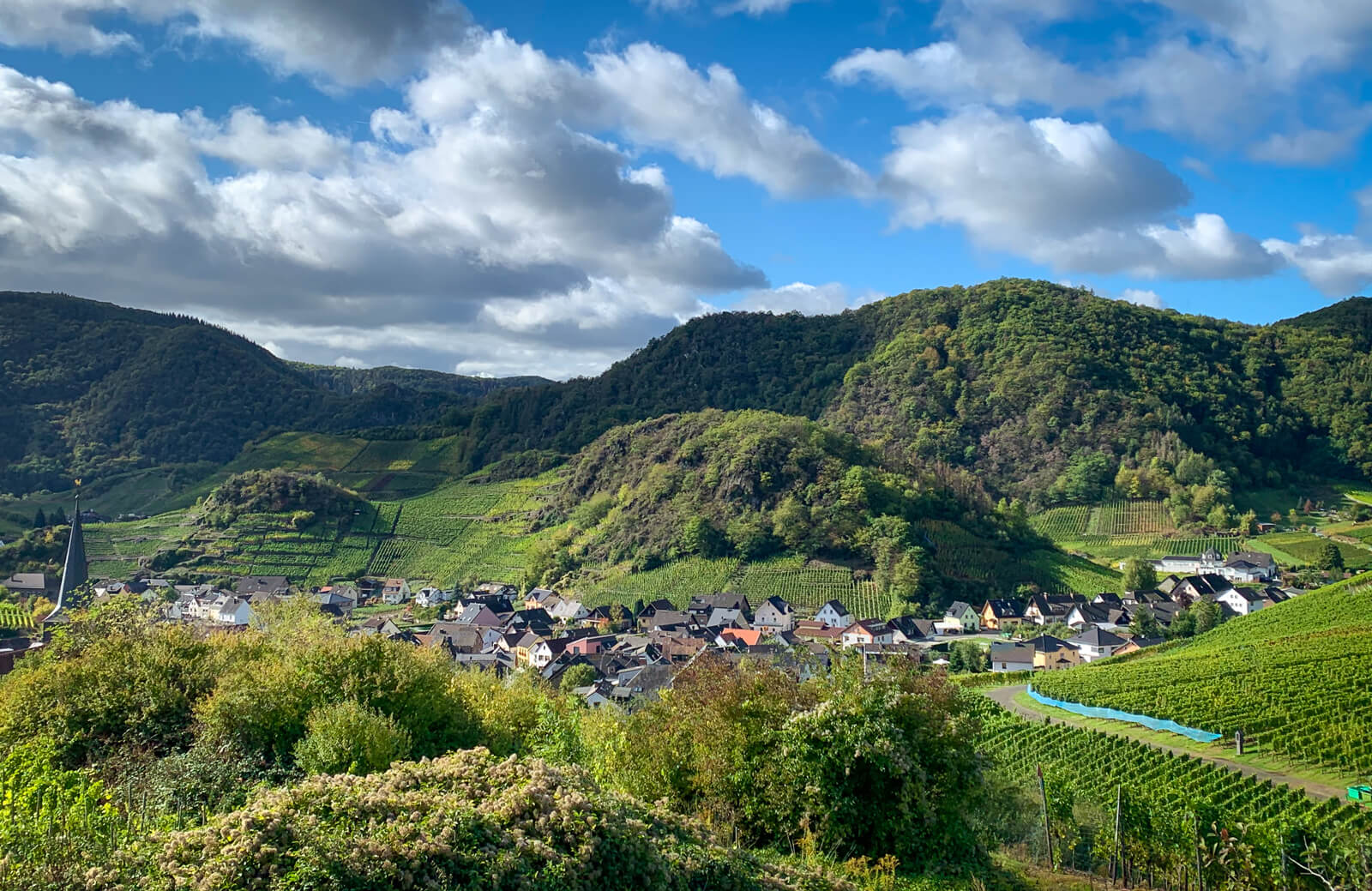 Looking over the village of Mayschoß (Mayschoss) in Western Ahr. 