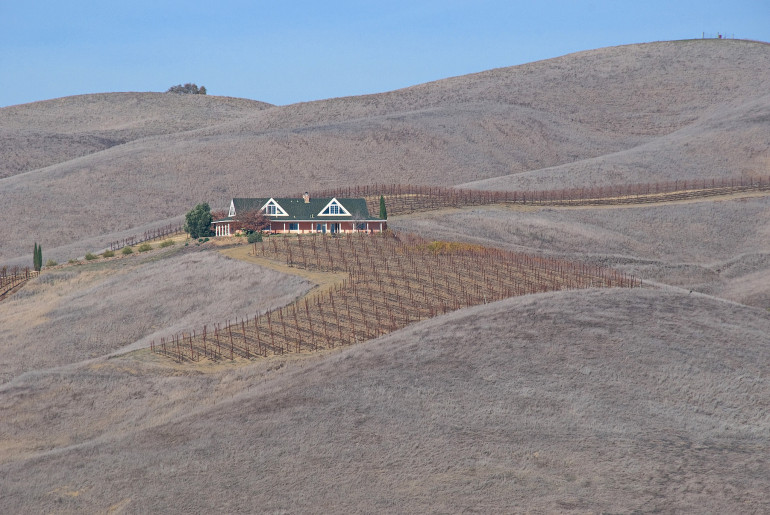 Drought in Californias vineyards by John Weiss