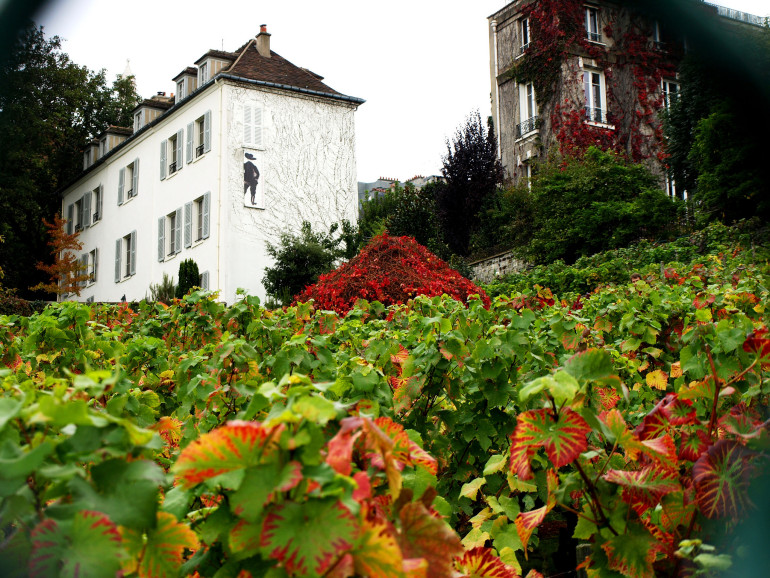 ClosMonmartre-byTory