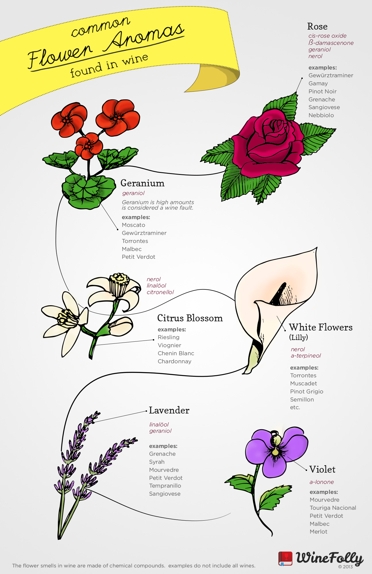 Common flower aromas in wine