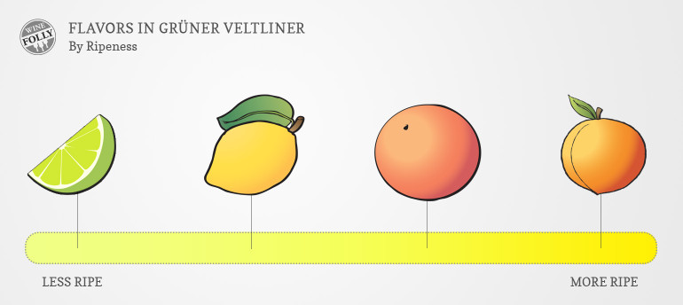 Gruner Veltliner Wine Taste