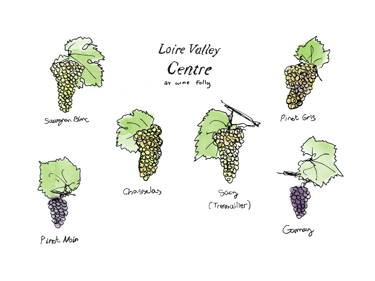 Upper Loire Valley Wine Grapes by Wine Folly