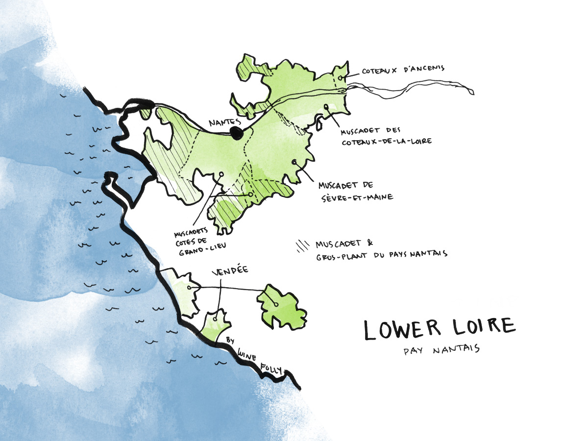 Lower Loire Valley Wine Map by Wine Folly