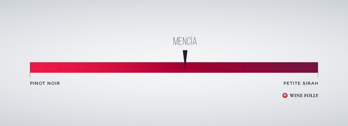 Mencia-on-the-boldness-scale-wine-folly