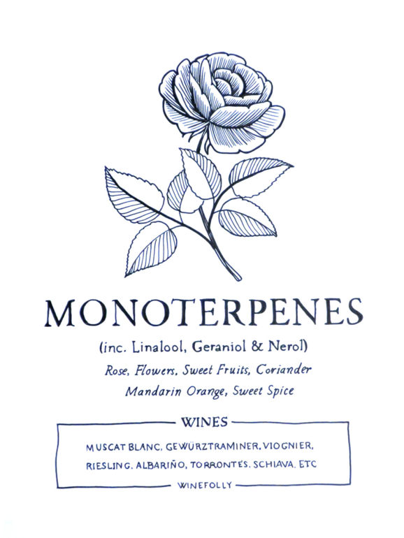 monoterpenes-illustration