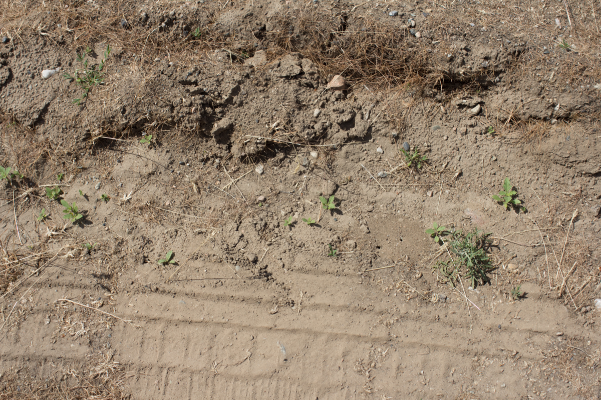 Vineyard soils in the Okanagan are a sandy-loam over granite gravels. They're well drained and produce wines with high aromatic intensity.