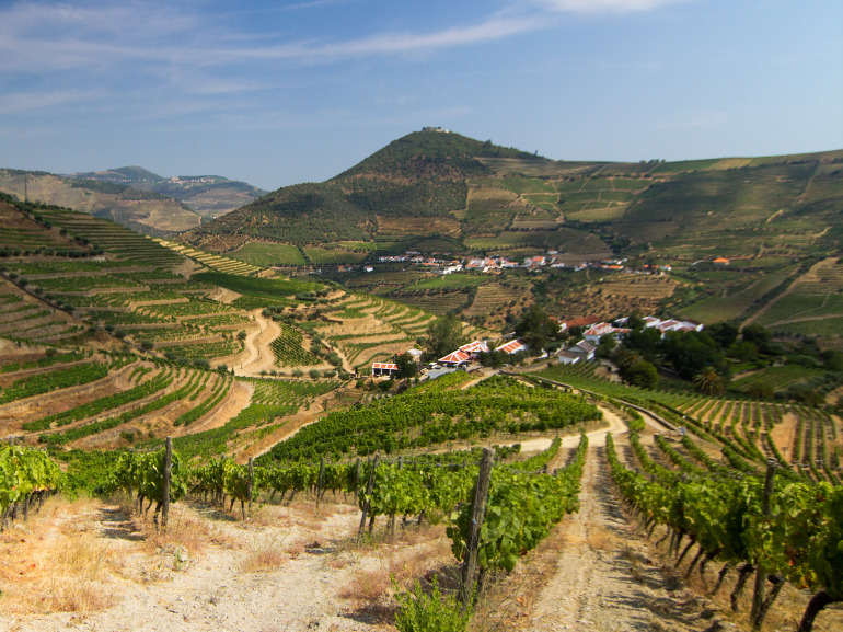 Portugal Douro Cima Corgo Ramos Pinto