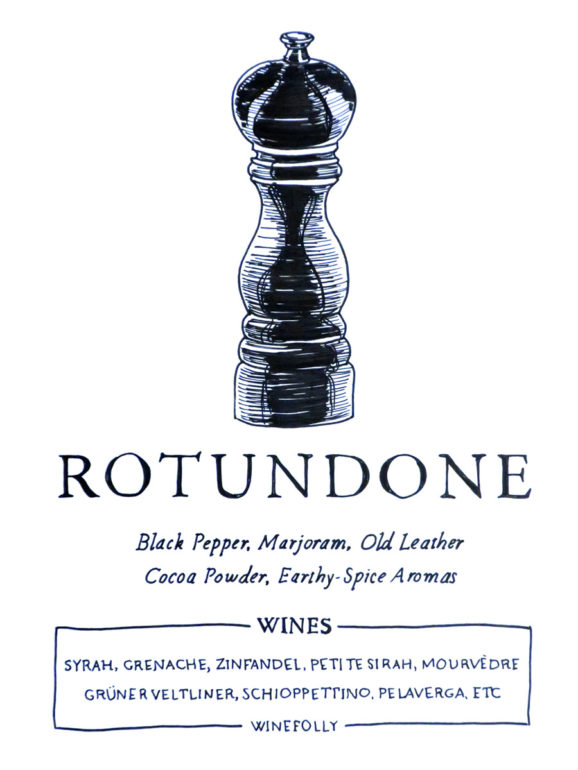 rotundone-illustration