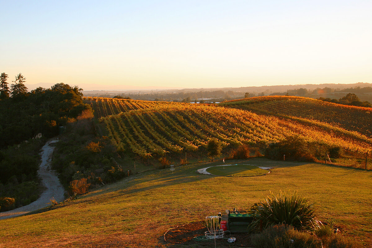 The Santa Cruz Mountains at sunset.