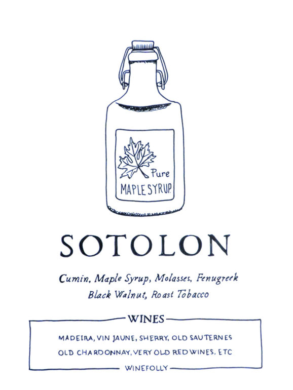 sotolon-illustration