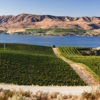 Washington Wine Vineyards view towards Lake Chelan