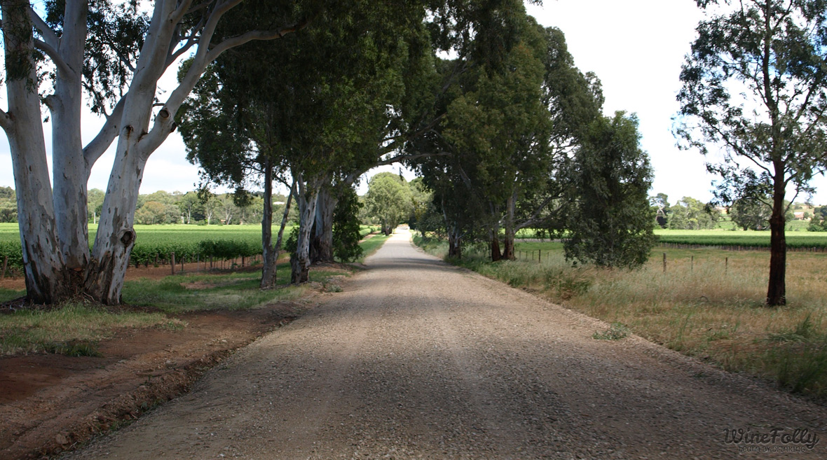 welcome to barossa valley wine country