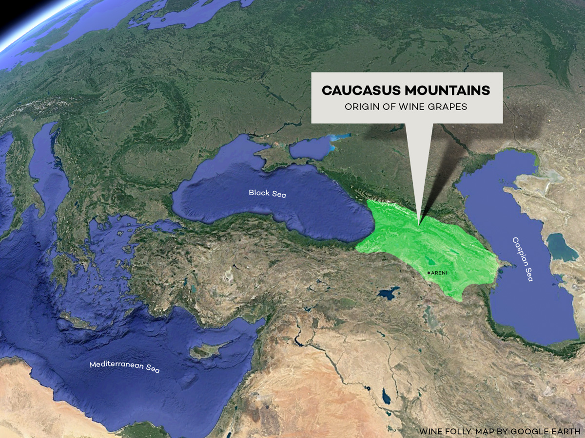 Where wine grapes came from. Map by Wine Folly